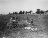 Husking Corn, C1905. /Nboys Husking Corn By Hand. Photograph, C1905. Poster Print by Granger Collection - Item # VARGRC0176072