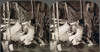Lebanon: Silk Manufacture. /N'Boiling Cocoons To Loosen Fibre Ends In Syria'S Largest Silk Reeling Plant, Mt. Lebanon.' Stereograph, C1914. Poster Print by Granger Collection - Item # VARGRC0324887