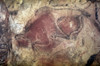 Cave Art: Altamira. /Ncrouching Bison From Cave Of Altamira, Santander, Spain, C10,000 B.C. Poster Print by Granger Collection - Item # VARGRC0018861