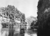 New Zealand, C1910. /Nthe Wanganui River In New Zealand. Photograph, C1910. Poster Print by Granger Collection - Item # VARGRC0351711