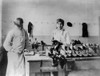 Carlisle School, C1904. /Nyoung Native American Working On Shoes At The Carlisle Indian Industrial School In Carlisle, Pennsylvania. Photograph, C1904. Poster Print by Granger Collection - Item # VARGRC0324241