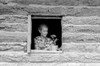 New Mexico: Home, 1940. /Njack Whinery'S Daughter Setting A Potted Plant In A Window Of Their Home In Pie Town, New Mexico. Photograph By Russell Lee, 1940. Poster Print by Granger Collection - Item # VARGRC0351538