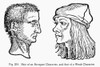 Physiognomy, 1533. /Nhair Of An Arrogant Character (Left), And That Of A Weak Character. Woodcut, 1533, From Bartolommeo Cocles' 'Physiognomonia.' Poster Print by Granger Collection - Item # VARGRC0097093