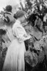Helen Adams Keller /N(1880-1968). American Writer And Lecturer. Photographed Standing In Her Garden Amid Sunflowers, C1907. Poster Print by Granger Collection - Item # VARGRC0108292