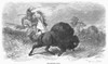 Hunting Buffalo, C1890. /Nwood Engraving, 19Th Century. Poster Print by Granger Collection - Item # VARGRC0095648