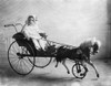 Toys: Horse Carriage, 1911. /Nvinson Walsh Mclean, Son Of American Heiress And Socialite Evalyn Mclean, Sitting In A Toy Horse And Carriage. Photograph, 1911. Poster Print by Granger Collection - Item # VARGRC0322235