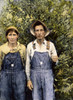 Berry Pickers, 1940. /Nberry Pickers From Arkansas Working In Berrien County, Michigan: Oil Over A Photograph By John Vachon, 1940. Poster Print by Granger Collection - Item # VARGRC0060548