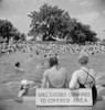 Swimming Pool, 1942. /Nbathers At The Municipal Pool In Washington D.C. Photograph By Marjory Collins, 1942. Poster Print by Granger Collection - Item # VARGRC0325525