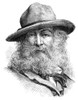 Walt Whitman (1819-1892). /Namerican Poet. Wood Engraving, 1876. Poster Print by Granger Collection - Item # VARGRC0005400