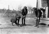 Marbles Game, 1908. /Nyoung Boys Playing A Game Of Marbles, In Salisbury, North Carolina. Photograph By Lewis Hine, 1908. Poster Print by Granger Collection - Item # VARGRC0114964