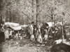 Wwi: Polish Refugees. /Npolish Refugee Families Camping In The Woods During World War I. Photograph, C1916. Poster Print by Granger Collection - Item # VARGRC0408021