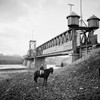 Civil War: Nashville, 1864. /Nfortified Bridge Over The Cumberland River. Photographed By George Barnard Before The Battle Of Nashville, Tennessee, December 1864. Poster Print by Granger Collection - Item # VARGRC0114839