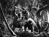 King Kong, 1933. Poster Print by Granger Collection - Item # VARGRC0069040
