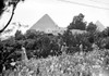 Egypt: Cairo. /Nthe Mena House Hotel And Its Gardens With The Pyramids In The Background, Cairo, Egypt. Photograph, C1935. Poster Print by Granger Collection - Item # VARGRC0120523