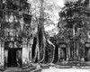 Cambodia: Ta Prohm. /Na Partial View Of The Ruins Of The Bayon Temple, Ta Prohm At Angkor, Cambodia, 1960. Poster Print by Granger Collection - Item # VARGRC0028340