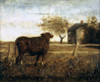 Ryder: The Pasture, C1875. /Noil On Canvas By Albert Pinkham Ryder, C1875. Poster Print by Granger Collection - Item # VARGRC0165678