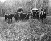 Colorado: Emigrants, C1875. /Nnewly Arrived Settlers In North Park, Colorado. Photographed C1875. Poster Print by Granger Collection - Item # VARGRC0184099