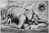 Trade Card: J&P Coats. /Namerican Merchant'S Trade Card For J.&P. Coats Thread, C1882, Showing The Thread Being Used To Tie Down Jumbo, P.T. Barnum'S Celebrated Elephant. Poster Print by Granger Collection - Item # VARGRC0183604