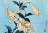 Lilies Poster Print by Hokusai - Item # VARPDX373146