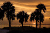 Tropical Park Sunset Poster Print by Mike Jones - Item # VARPDXPOD5825