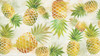Tossing Pineapples Poster Print by Carol Robinson - Item # VARPDX18629