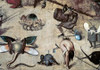 Temptation of St. Anthony - Detail Poster Print by Hieronymus Bosch - Item # VARPDX276799