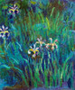 Irises 1914-1917 Poster Print by Claude Monet - Item # VARPDX373790