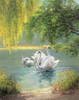 Swan Family II Poster Print by Max Weber - Item # VARPDX4911