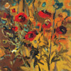 Wild Poppies Poster Print by Jennifer Harwood - Item # VARPDXPOD5819