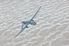 An MQ-1 Predator flies over the White Sands National Monument, New Mexico Poster Print by HIGH-G Productions/Stocktrek Images - Item # VARPSTHGP100032M