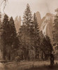 Cathedral Spires - Yosemite, California, 1861 Poster Print by Carleton Watkins - Item # VARPDX455366