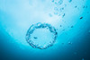 Bubble rings in the clear waters of Dutch Springs, Pennsylvania Poster Print by Jennifer Idol/Stocktrek Images - Item # VARPSTJDL400114U