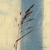 Dancing Grass II Poster Print by Tandi Venter - Item # VARPDXPOD5124