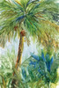 Vintage Palm Poster Print by Carol Robinson - Item # VARPDX19000