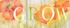 http://c328301.r1.cf1.rackcdn.com/PDXRB11878CCLARGE.jpg