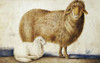 A Ewe and Her Lamb Poster Print by Abul Hasan Ghaffari - Item # VARPDX266383