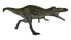 Alioramus dinosaur, white background Poster Print by Elena Duvernay/Stocktrek Images - Item # VARPSTEDV600417P