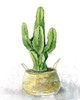 Tall Cactus Poster Print by Carol Robinson - Item # VARPDX18076
