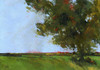 Autumn Oak and Empty Fields Poster Print by Paul Bailey - Item # VARPDXB3489D