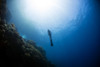 Free diver rising from the deep in the Banda Sea, Indonesia Poster Print by Aaron Wong/Stocktrek Images - Item # VARPSTAAW400016U