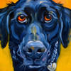 Black Dog Poster Print by Connie R. Townsend - Item # VARPDXT583D
