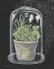 Succulent in Cloche I Poster Print by Gwendolyn Babbitt - Item # VARPDXBAB241