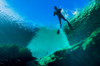 Freediver at Jackson Blue Springs in Marianna, Florida Poster Print by Jennifer Idol/Stocktrek Images - Item # VARPSTJDL400057U