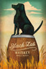 http://c328301.r1.cf1.rackcdn.com/PDX34883LARGE.jpg