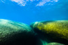 Boulders in Lake Tahoe, Nevada Poster Print by Jennifer Idol/Stocktrek Images - Item # VARPSTJDL400082U