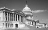 U.S. Capitol, Washington, D.C. - Black and White Variant Poster Print by Carol Highsmith - Item # VARPDX463819