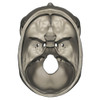 Superior view of human skull anatomy Poster Print by Photon Illustration/Stocktrek Images - Item # VARPSTPHT700017H