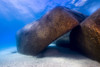 Boulders in Lake Tahoe, Nevada Poster Print by Jennifer Idol/Stocktrek Images - Item # VARPSTJDL400081U