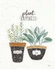 Fine Herbs Iv Poster Print by Janelle Penner - Item # VARPDX34996