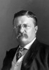 Portrait of President Theodore Roosevelt in 1904 Poster Print by John Parrot/Stocktrek Images - Item # VARPSTJPA101285M
